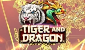 Dragon Tiger Tại G88